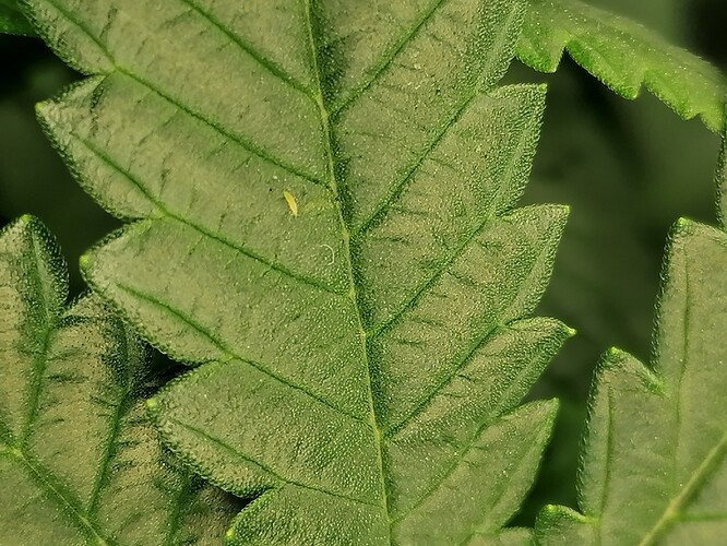 Growreport Bild 13