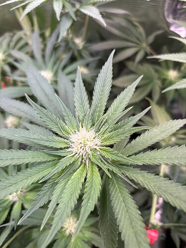 Growreport Bild 22