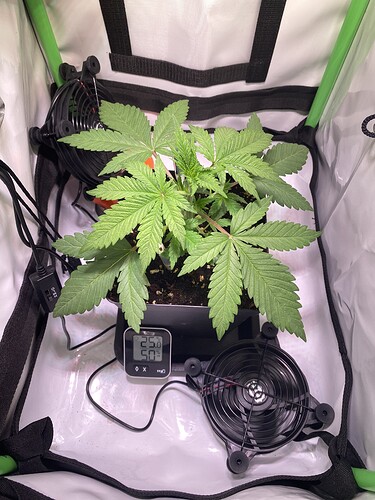 Growreport Bild 5