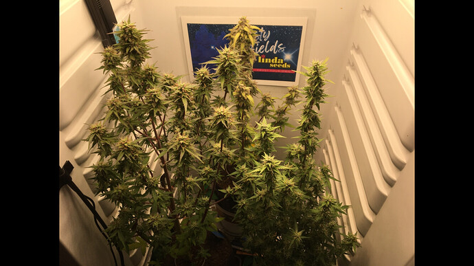 Growreport Bild 16