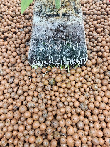 Growreport Bild 15