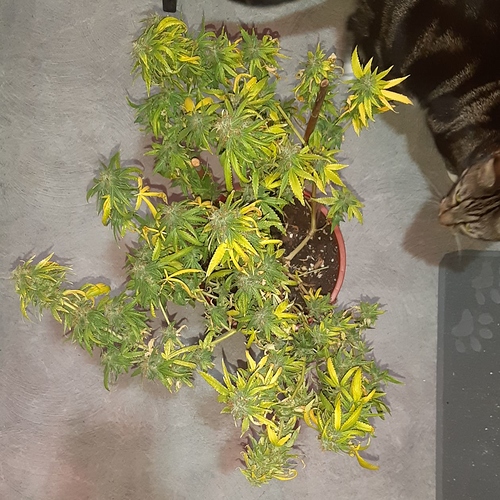Growreport Bild 8