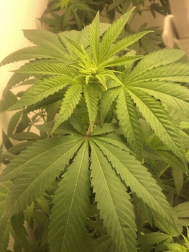 Growreport Bild 9