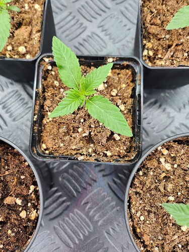 photo_2023-08-06_22-48-41