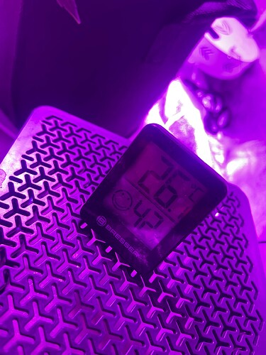 Growreport Bild 32