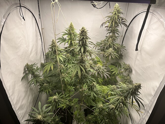 Growreport Bild 14