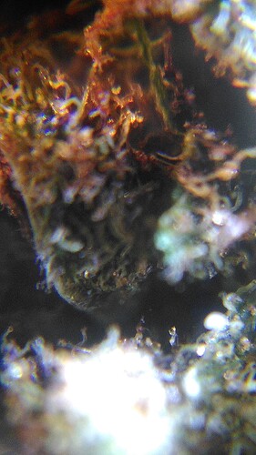 IMG_20230904_213203