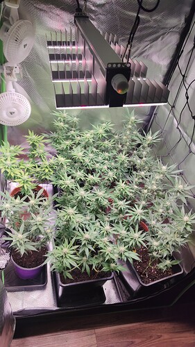 Growreport Bild 16