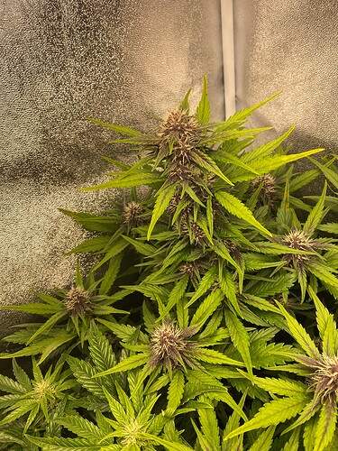 Growreport Bild 11
