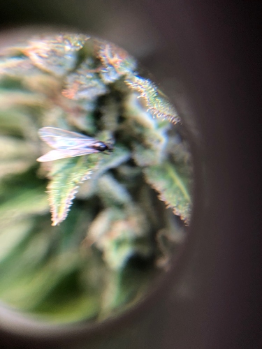 Growreport Bild 2