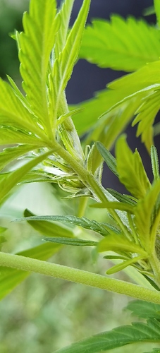 Growreport Bild 15