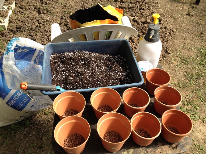Growreport Bild 49