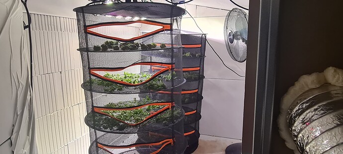 Growreport Bild 4