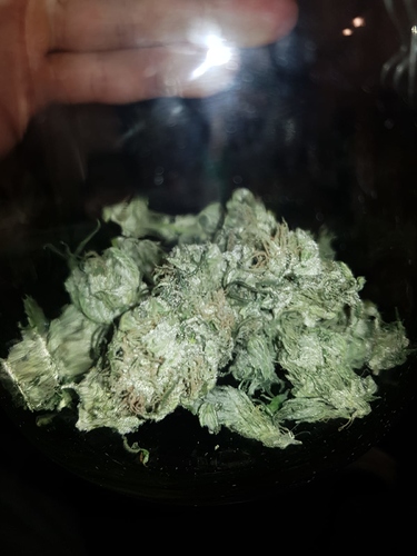 Growreport Bild 5