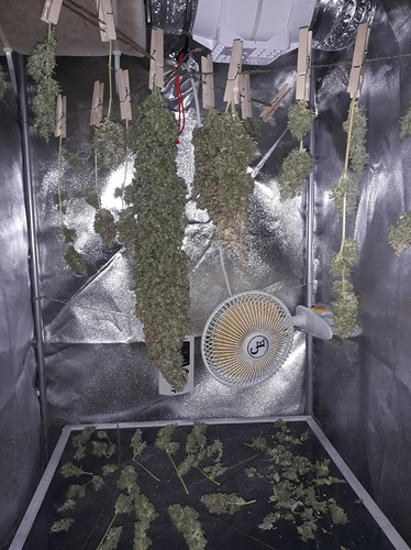 Growreport Bild 1