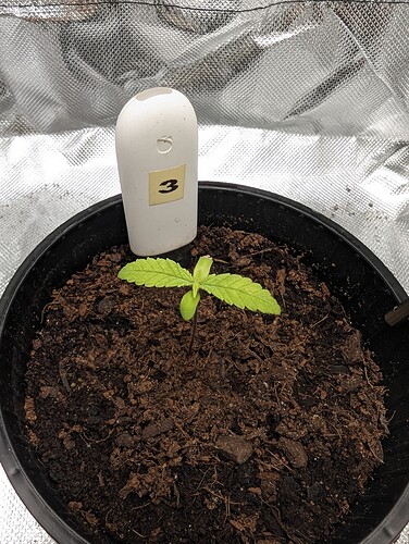 Growreport Bild 28