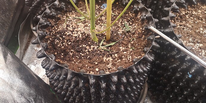 Growreport Bild 6