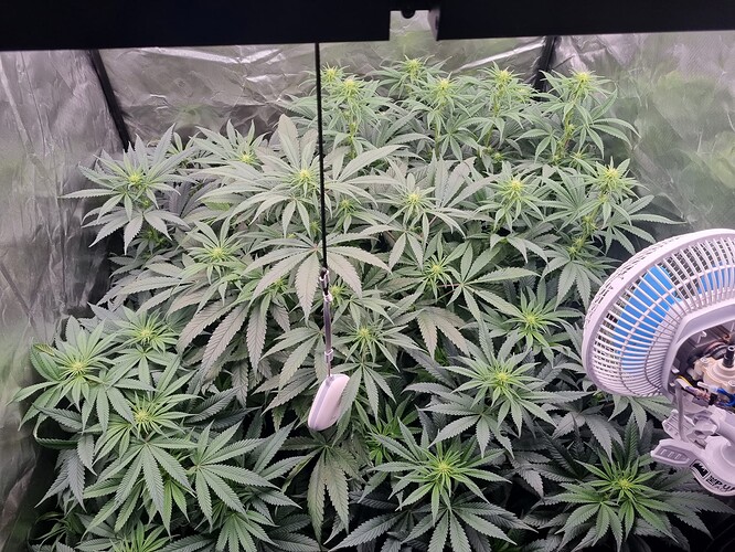 Growreport Bild 24