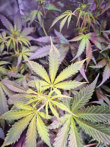 Growreport Bild 26