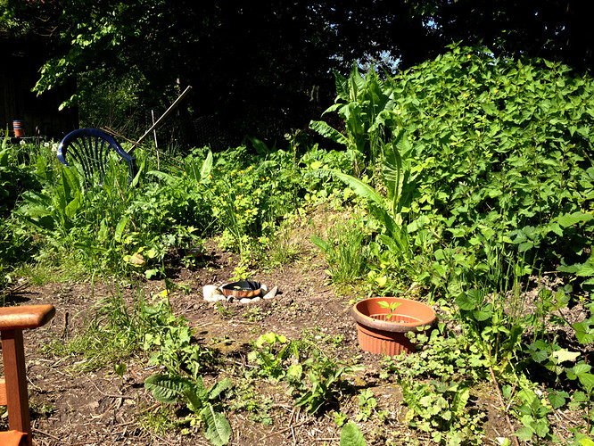 Growreport Bild 11