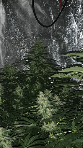 Growreport Bild 10