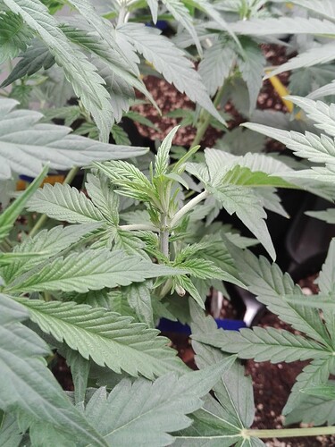 Growreport Bild 16