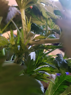 Growreport Bild 13