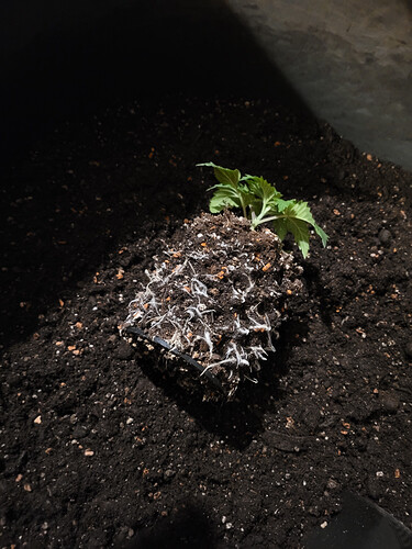 Growreport Bild 22