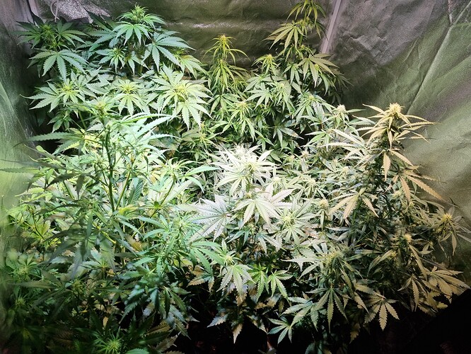 Growreport Bild 9