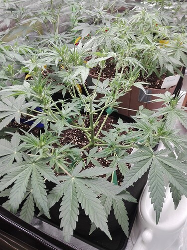 Growreport Bild 14