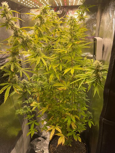 Growreport Bild 4