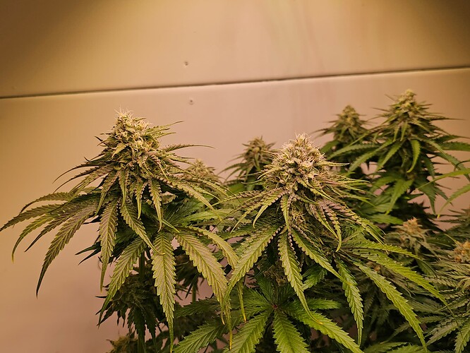 Growreport Bild 18