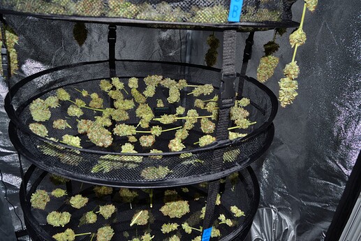 Growreport Bild 3