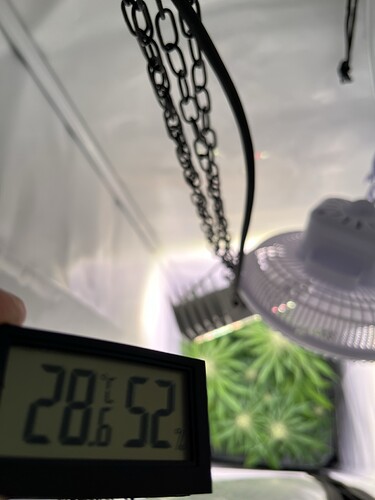 Growreport Bild 27