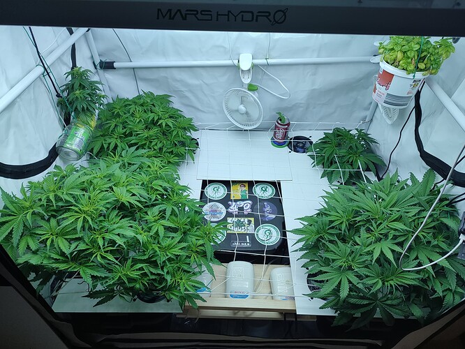 Growreport Bild 8