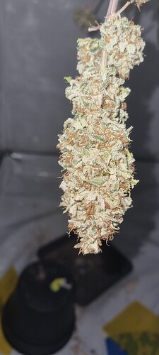 Growreport Bild 18
