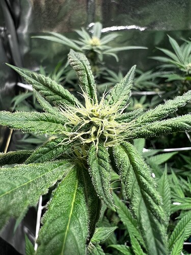 Growreport Bild 8