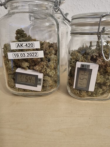 Growreport Bild 25