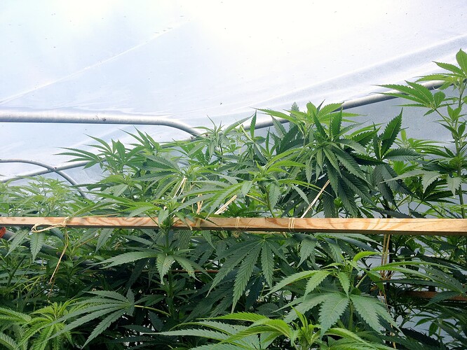 Growreport Bild 23