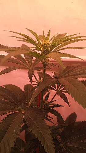 Growreport Bild 16
