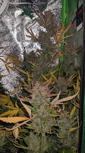 Growreport Bild 6