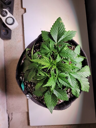 Growreport Bild 14