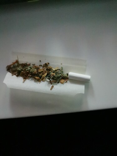 Growreport Bild 7