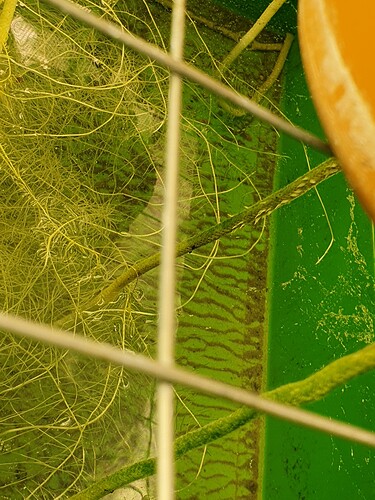 20230702_170744 - Kopie