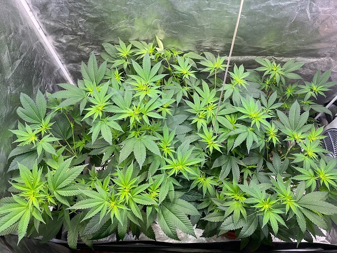 Growreport Bild 15