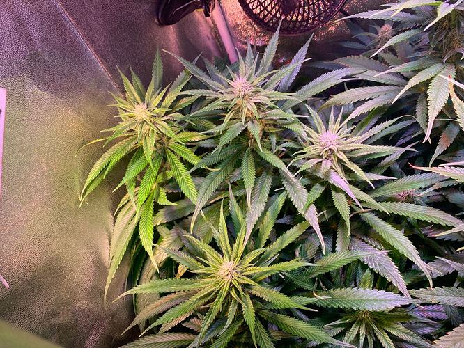Growreport Bild 22