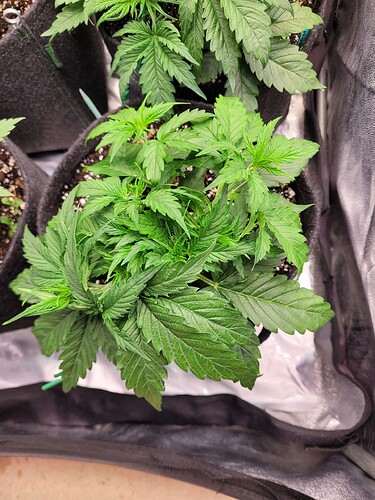 Growreport Bild 23