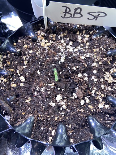 Growreport Bild 14