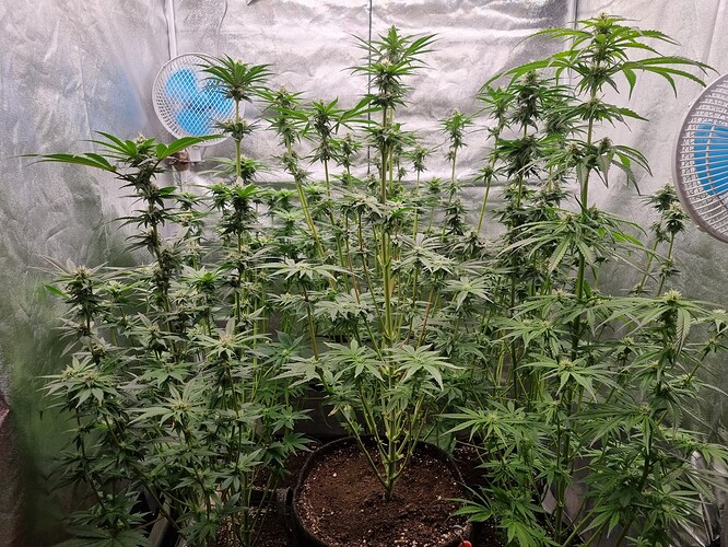 Growreport Bild 17