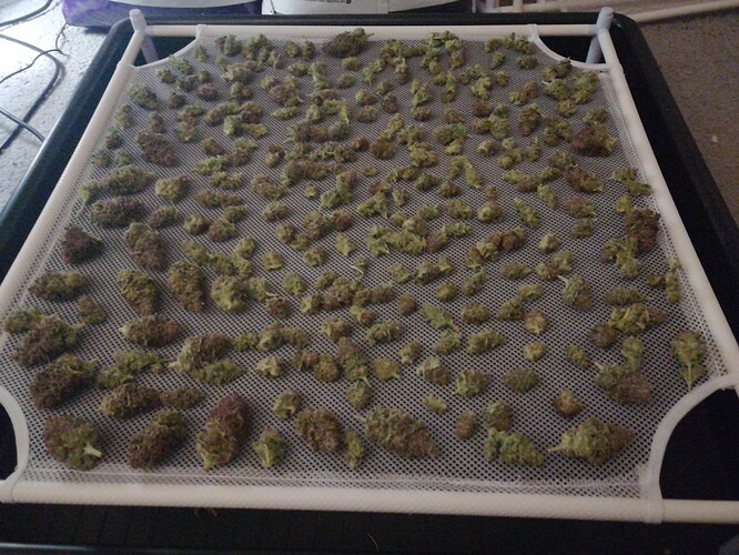Growreport Bild 3
